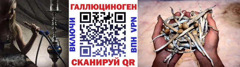 Псилоцибиновые грибы мухоморы  Новомичуринск 